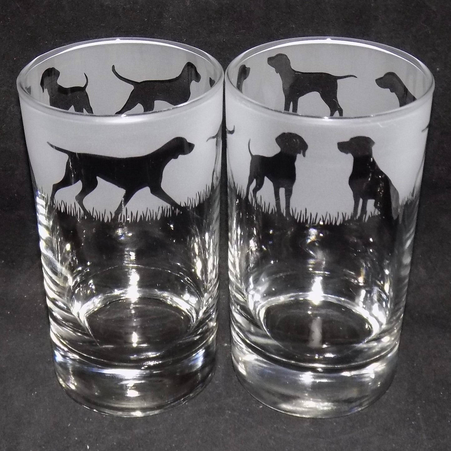 Hungarian Vizsla Tall Glass