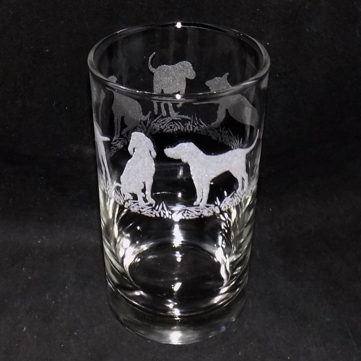 Hungarian Vizsla Tall Glass