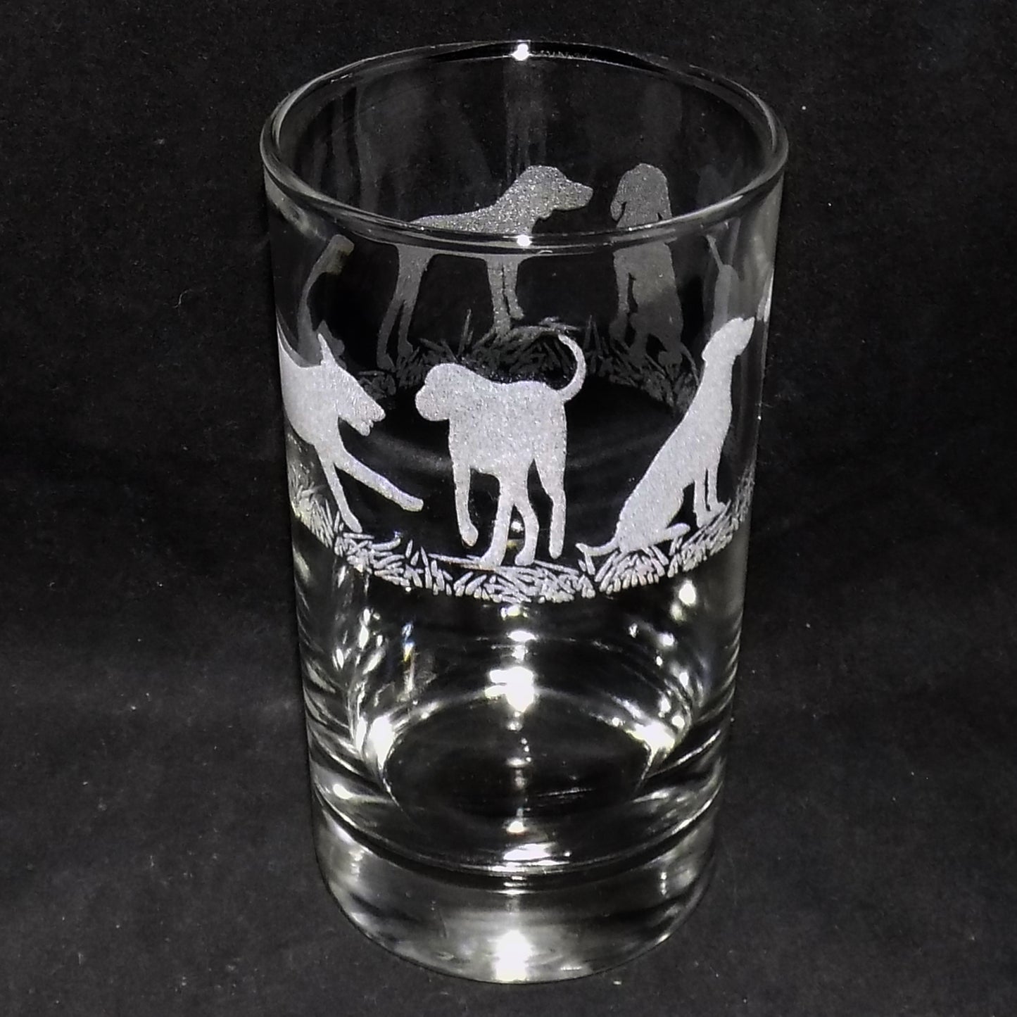 Hungarian Vizsla Tall Glass