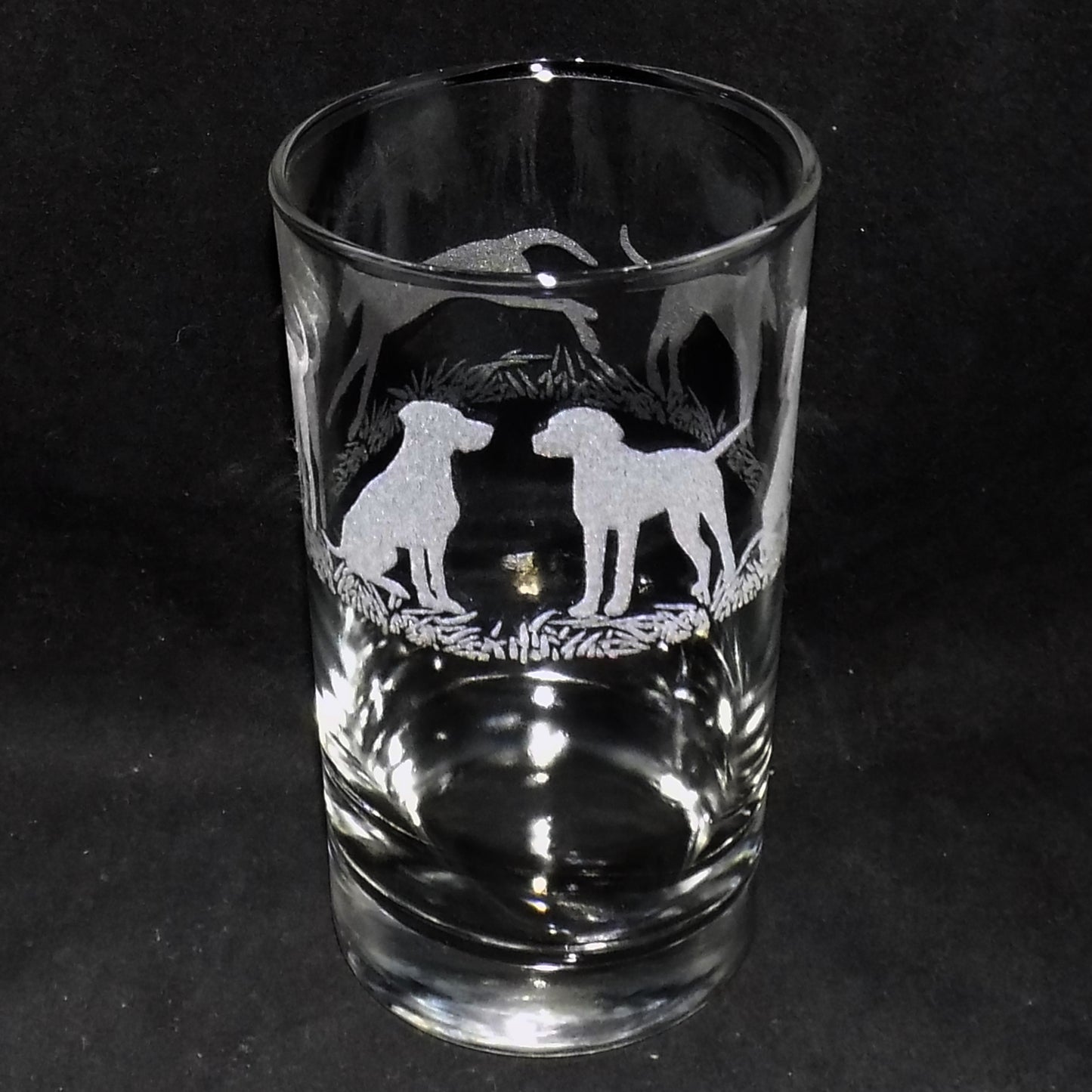 Hungarian Vizsla Tall Glass