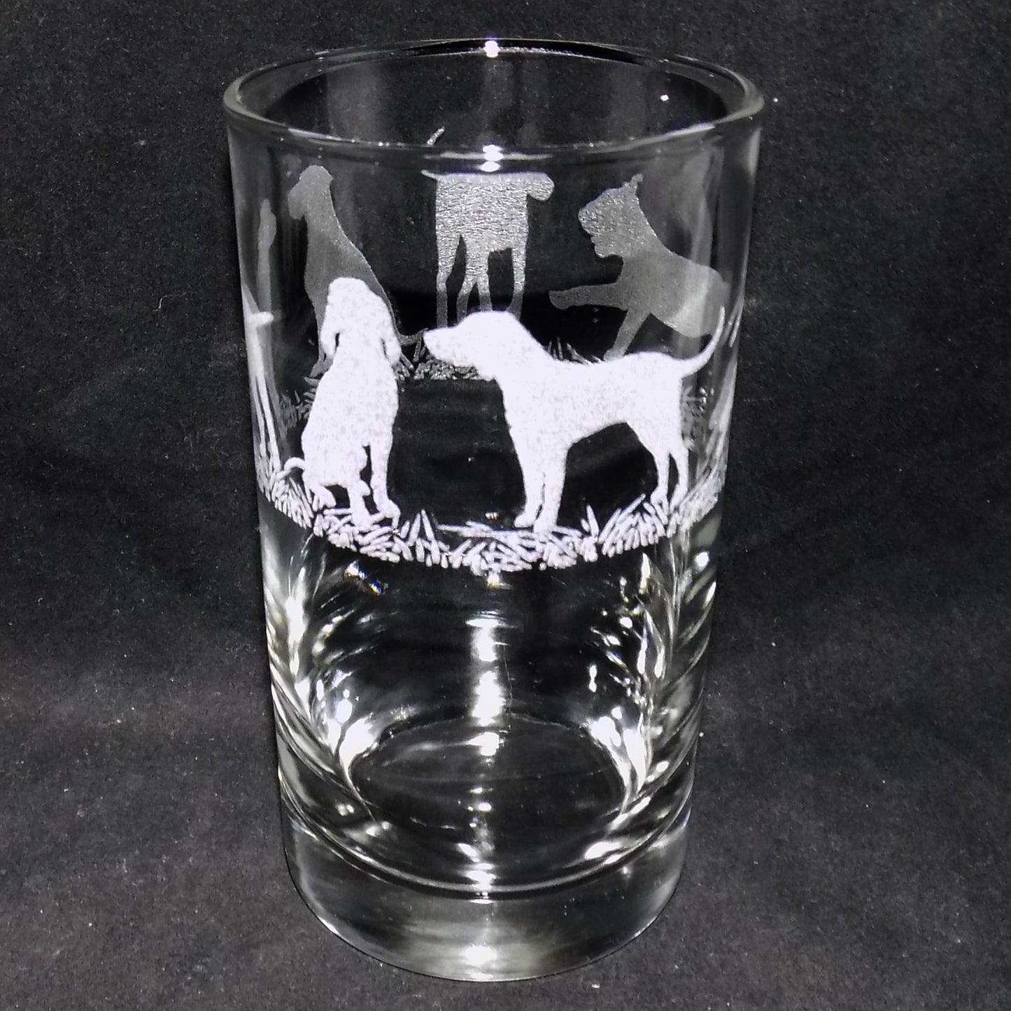 Hungarian Vizsla Tall Glass