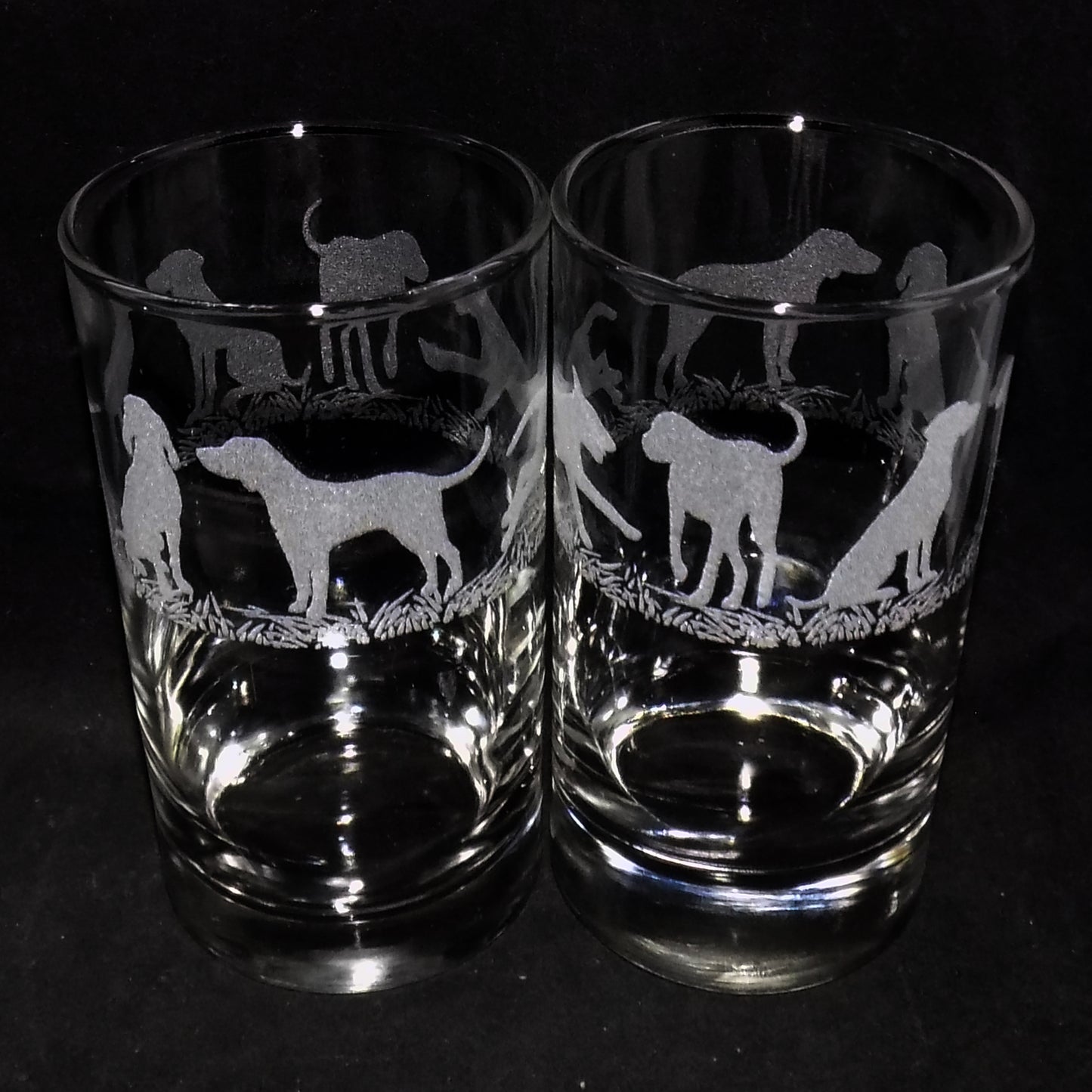 Hungarian Vizsla Tall Glass