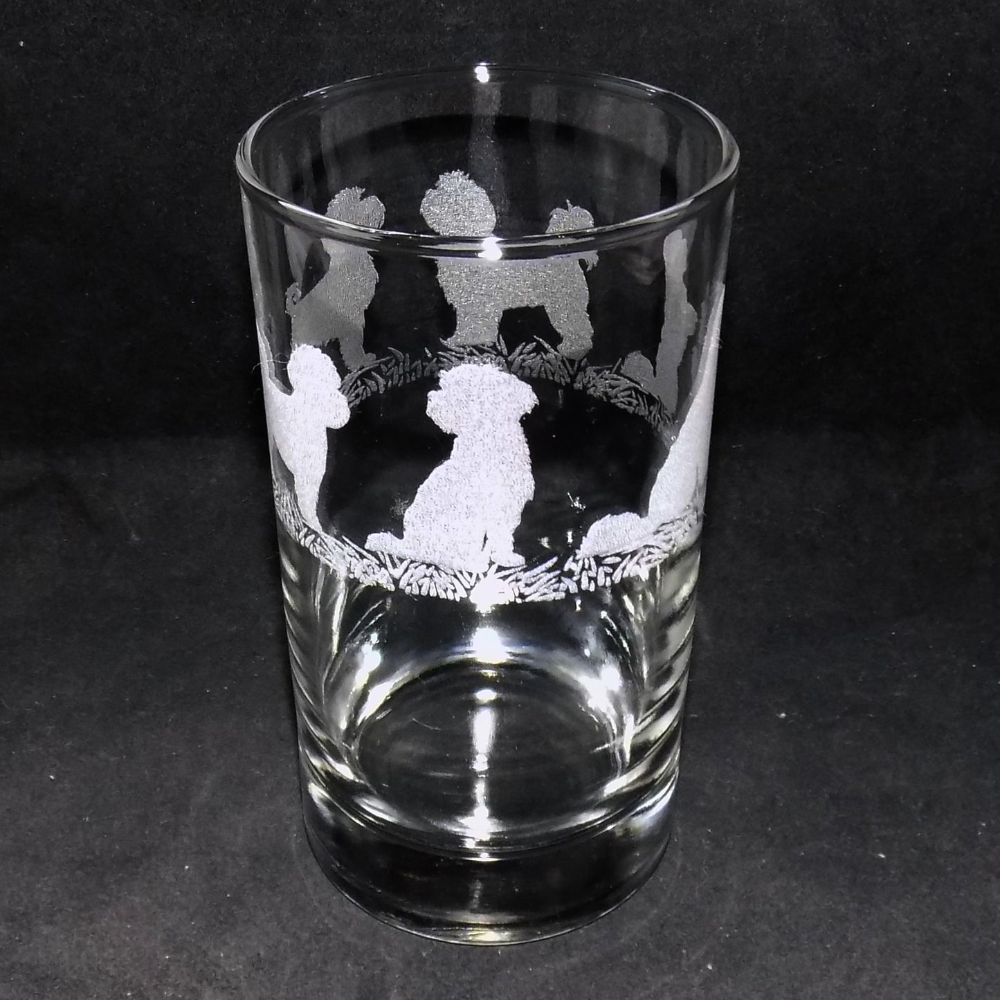 Bichon Frise Tall Glass