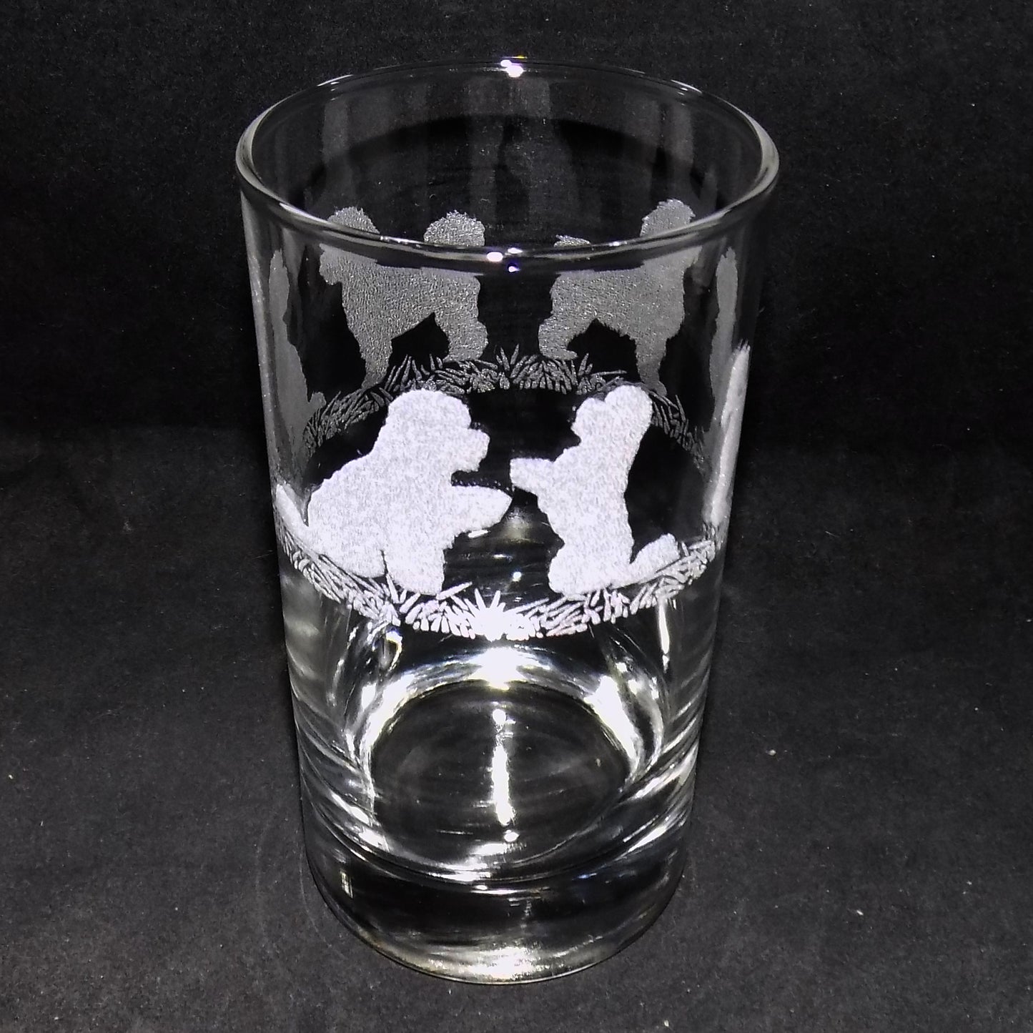 Bichon Frise Tall Glass