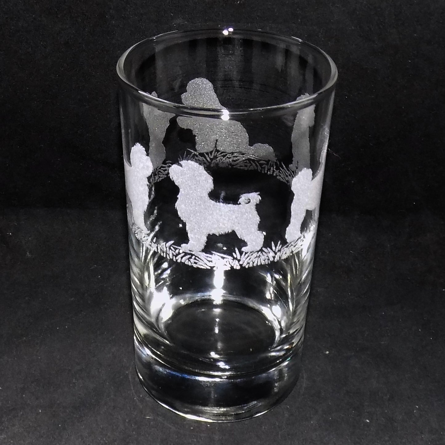 Bichon Frise Tall Glass