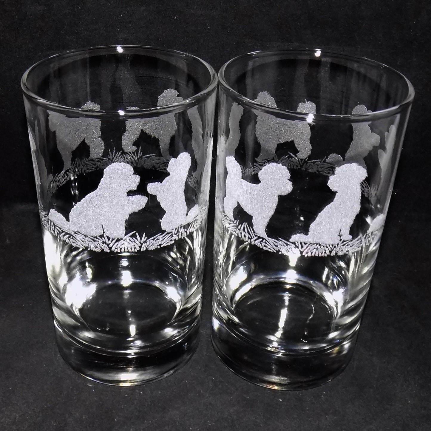 Bichon Frise Tall Glass