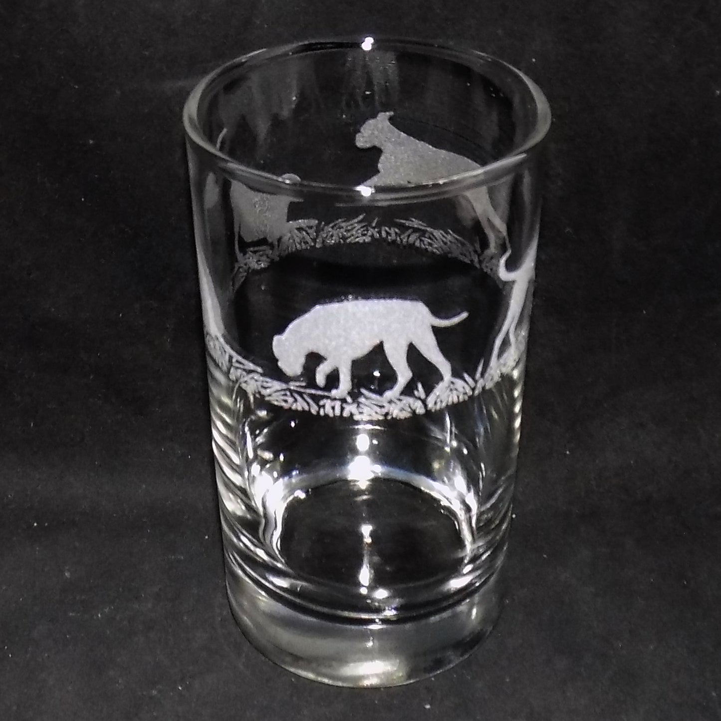 Boxer Dog Tall Glass