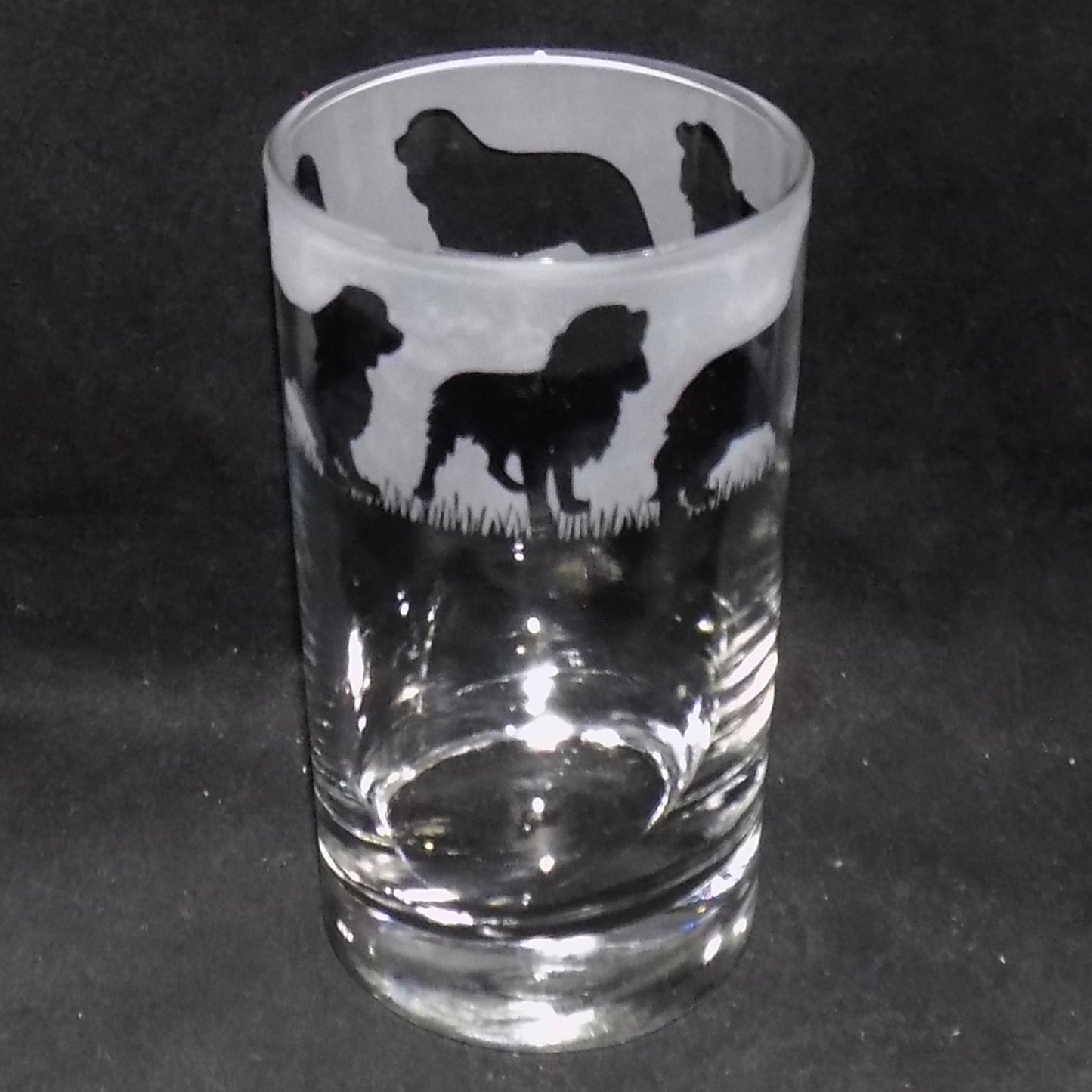 Cavalier King Charles Tall Glass