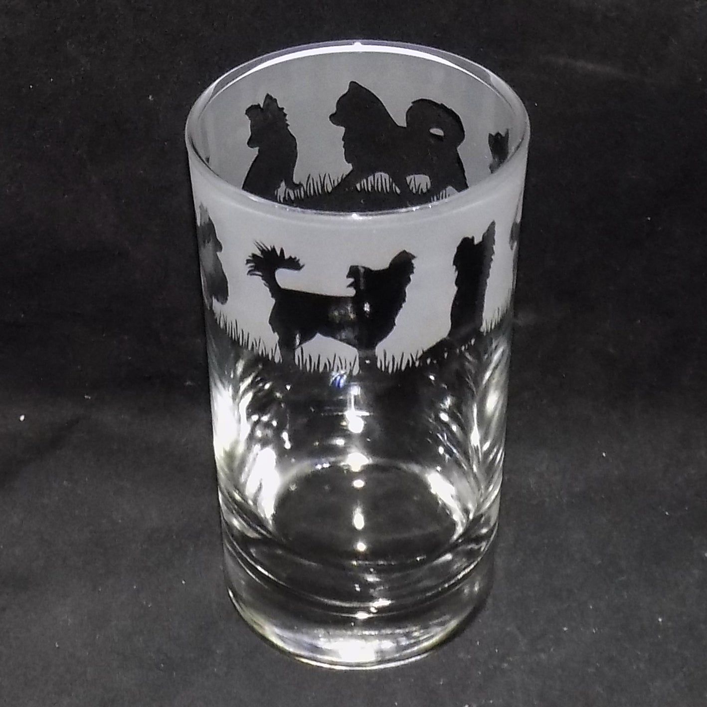Chihuahua (Long Haired) Tall Glass