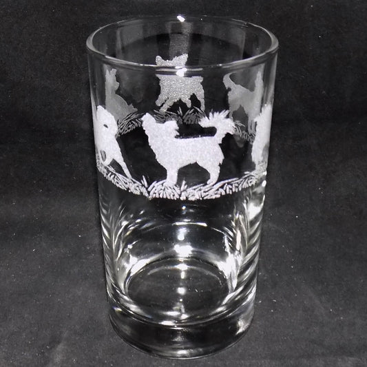Chihuahua (Long Haired) Tall Glass