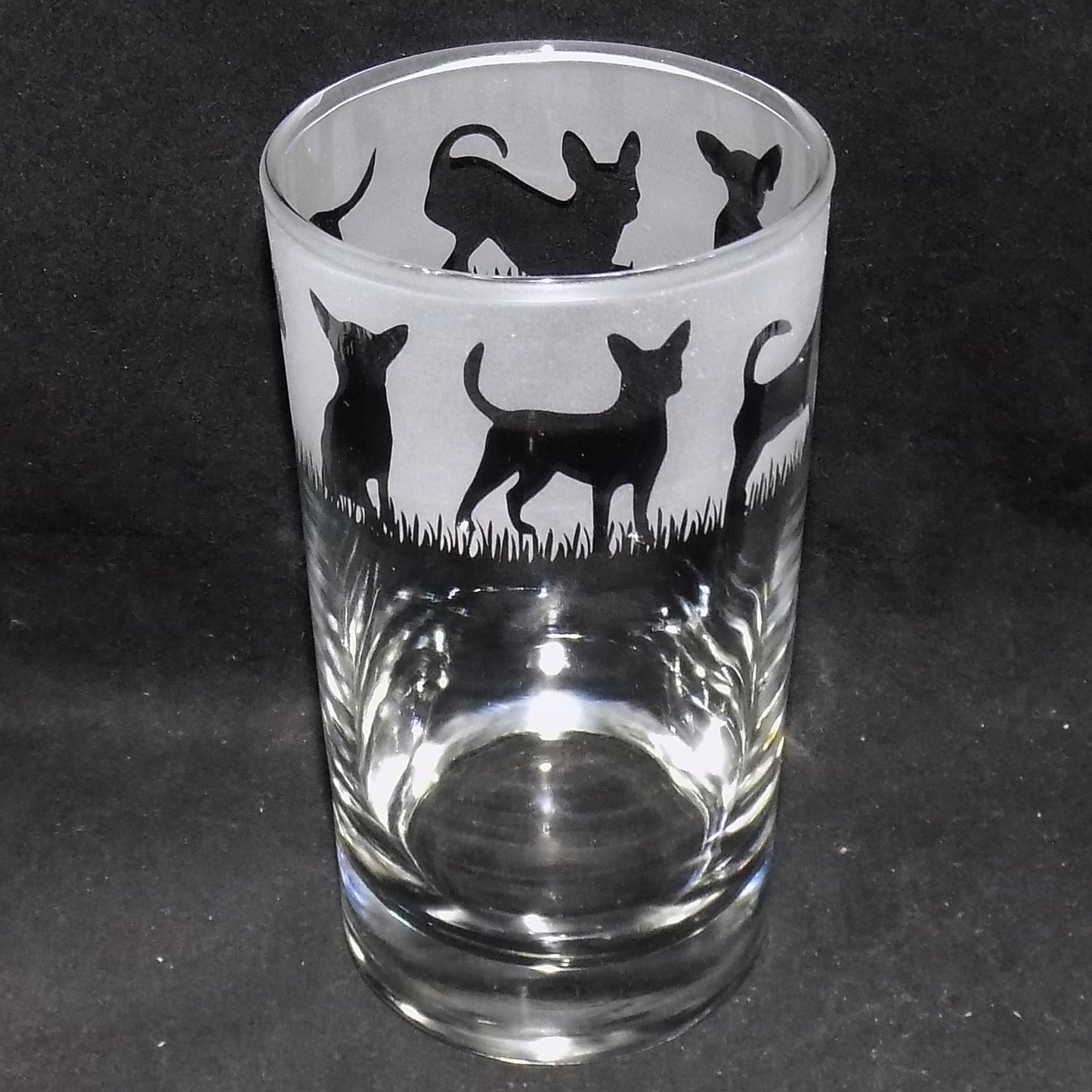 Chihuahua (Short Haired) Tall Glass