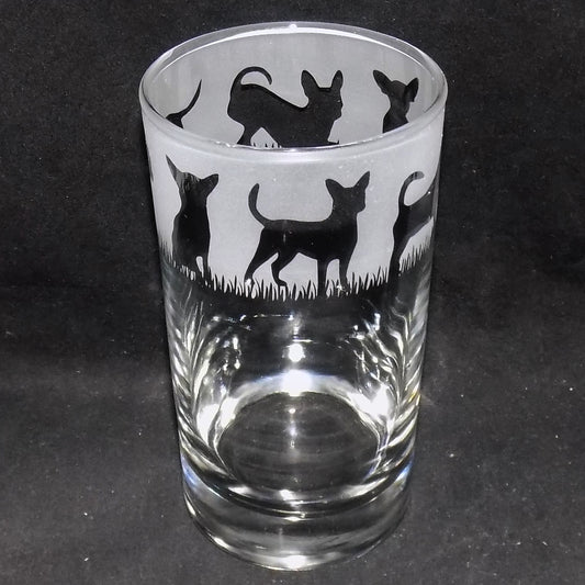 Chihuahua (Short Haired) Tall Glass