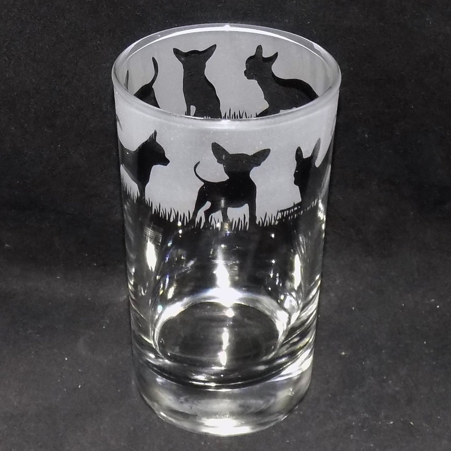 Chihuahua (Short Haired) Tall Glass