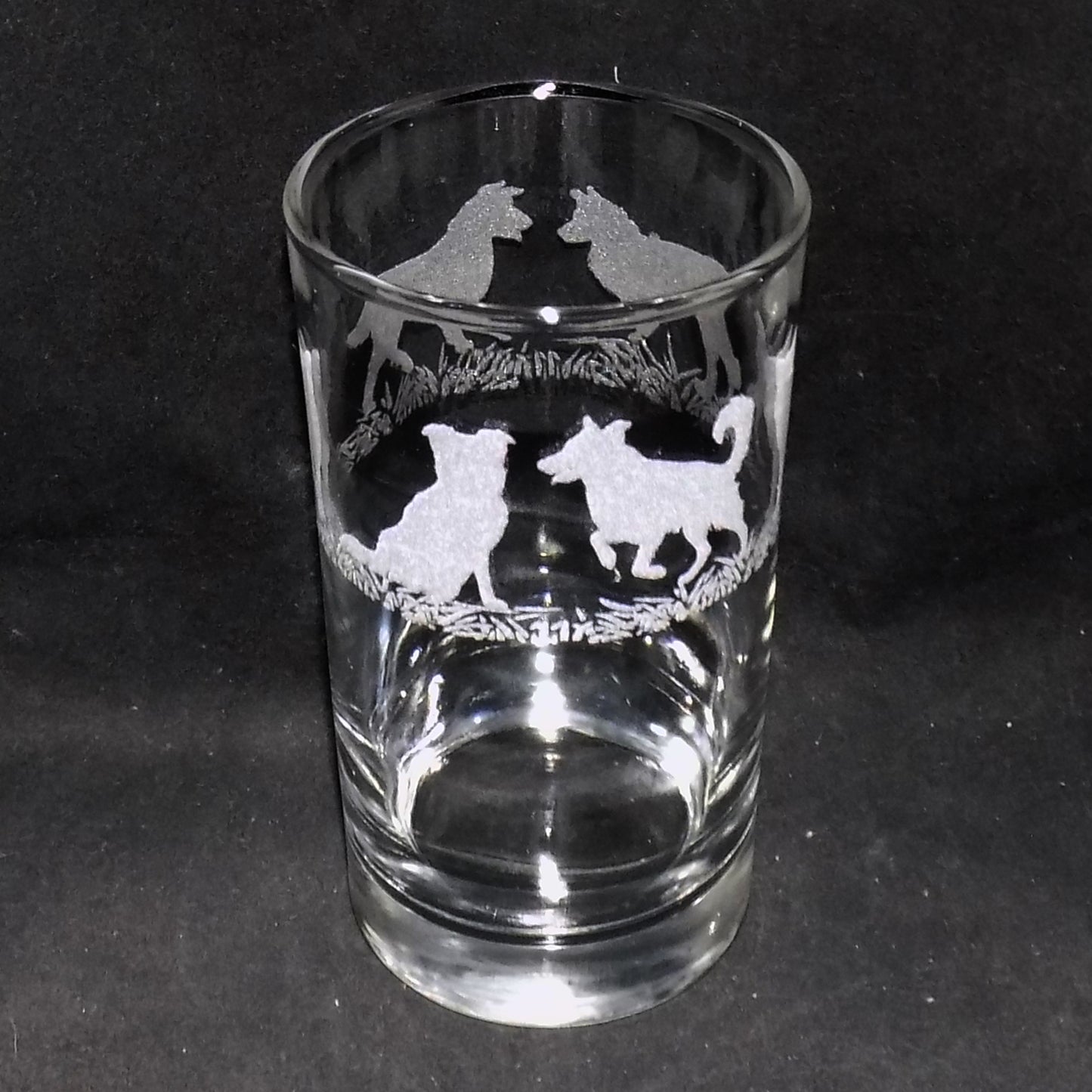 Border Collie Tall Glass