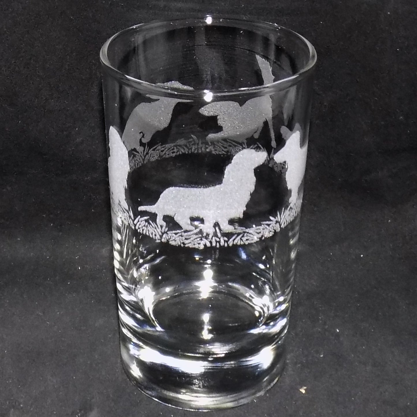 Dachshund (Long Haired) Tall Glass