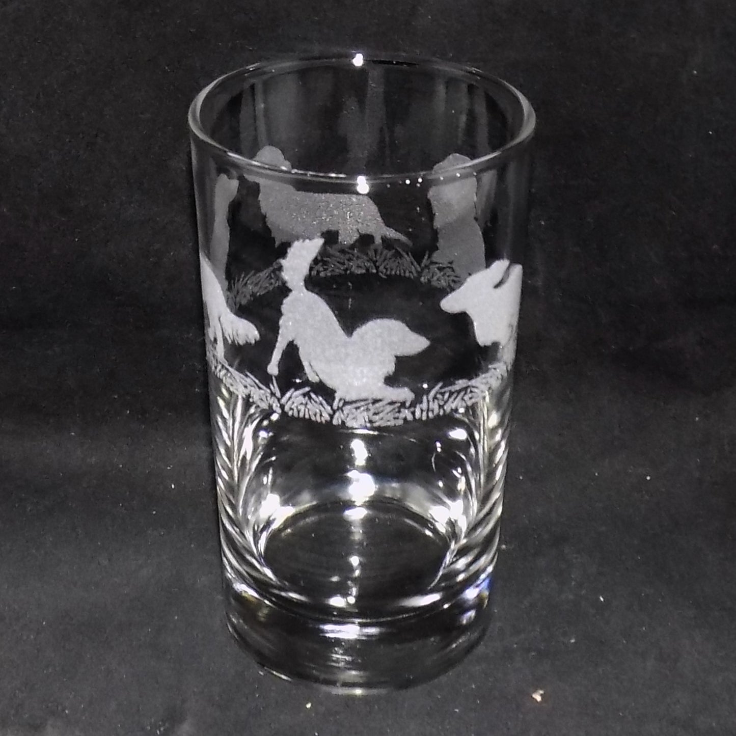 Dachshund (Long Haired) Tall Glass