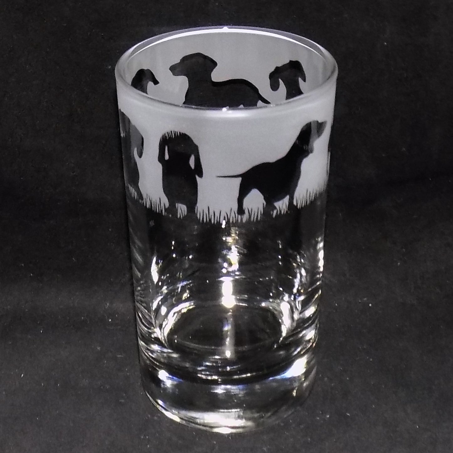 Dachshund (Short Haired) Tall Glass