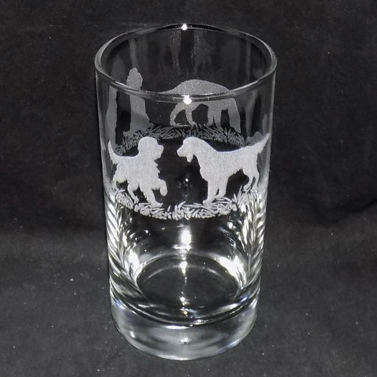 Irish Setter Hiball