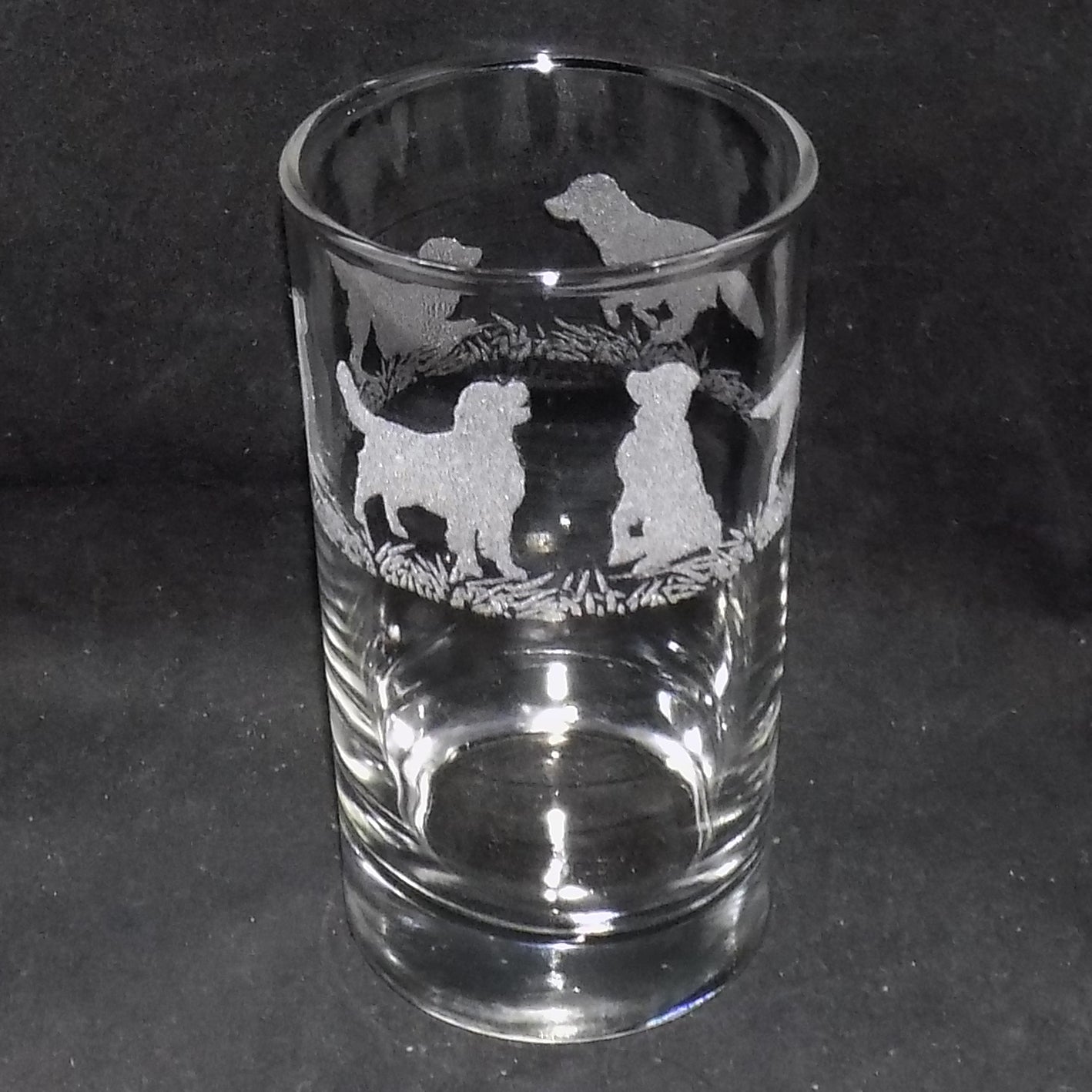 Golden Retriever Tall Glass