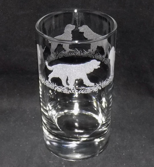 Springer Spaniel Tall Glass
