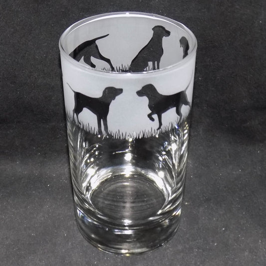 Hungarian Vizsla Tall Glass