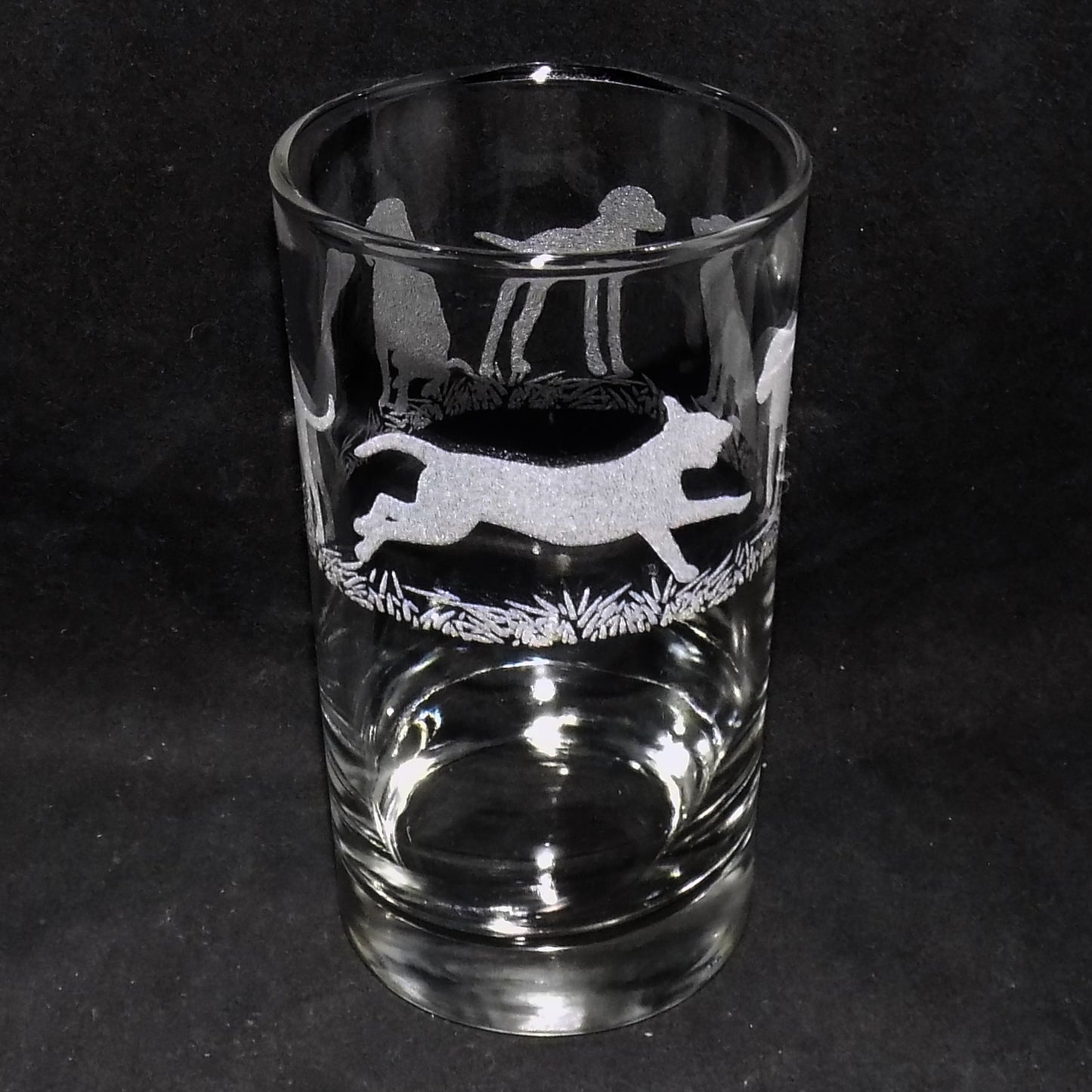 Hungarian Vizsla Tall Glass
